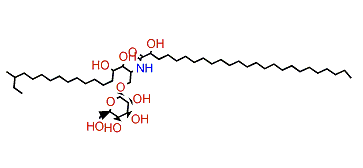 Agelasphin 13